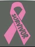 Survivor ribbon breast cancer cure vinyl decal window sticker