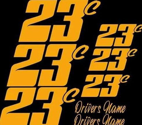 Racecar number decal set