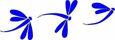 Set of 3 dragonfly vinyl decal window stickers labels