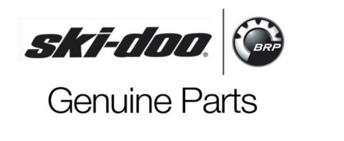 Ski-doo lock linq kit 860201968