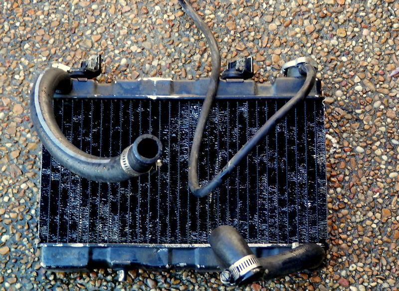 86-89 Honda TRX250R 250R 1989 Stock Radiator Hoses Clamps & Grill, US $79.00, image 2