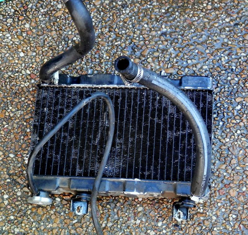 Purchase 8689 Honda TRX250R 250R 1989 Stock Radiator Hoses Clamps