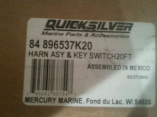 Mercury harness /key switch assembly