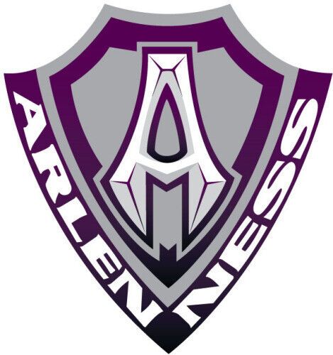 Arlen ness brake pads 02-231 1721-3250