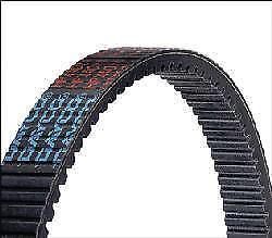 Dayco hp3020 belt