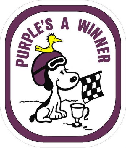 #695 (1) 6" ski-doo racing skidoo reproductionvinyl decal laminated stickers