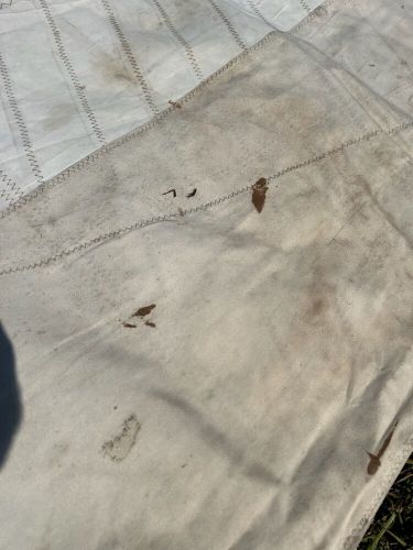 Furling headsail (luff 49' 8" leech 47' 8" foot 27' 8")