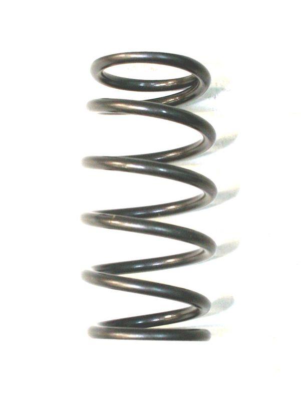 Find Henderson Deluxe Exhaust Valve Springs (Set of 4) K1744 Antique