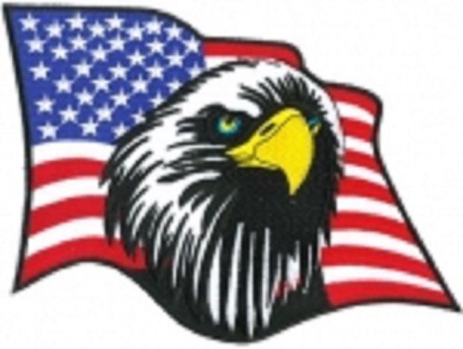 Eagle head flag, motorcycle embroidery jacket patch,wholesale,high quality, #298