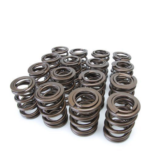 Buy ISKY valve springs sprint car 9985rad ASCS in Sacramento
