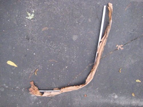 1965 1966 nos ford mustang fastback rear window stainless trim right lower