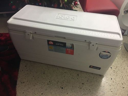 Igloo cooler 162