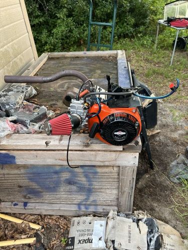 Briggs And Stratton Animal, US $1,000.00, image 7