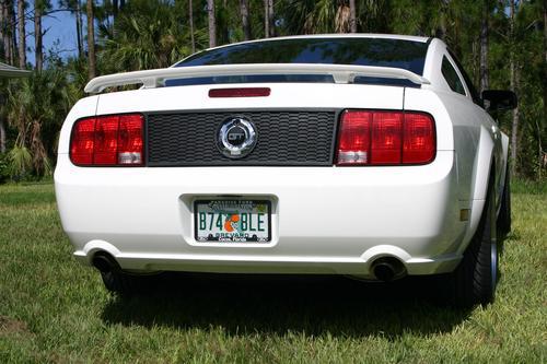 Silverhorse racing s197-100 taillight panel honeycomb plastic black ford each