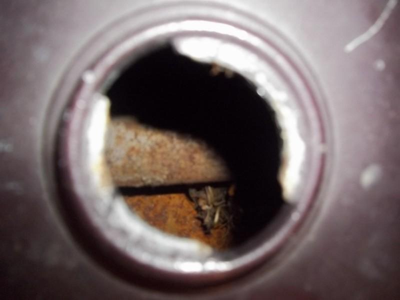 Motorcycle Gas Fuel Tank, US $49.99, image 6