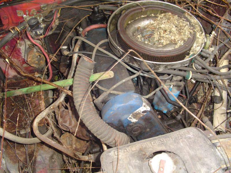 1980 Ford Pinto , US $695.00, image 4