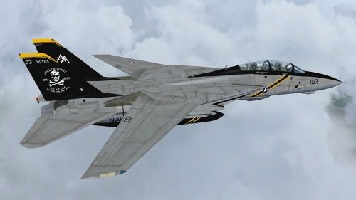 U.s. navy natops f-14 tomcat flight manuals