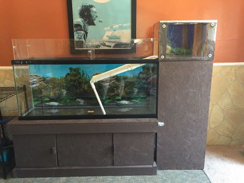 55 gallon custom built tank habitat for turtle