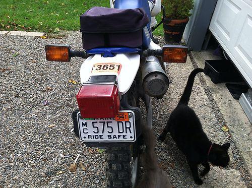 1996 Yamaha Xt 350, US $1,000.00, image 5