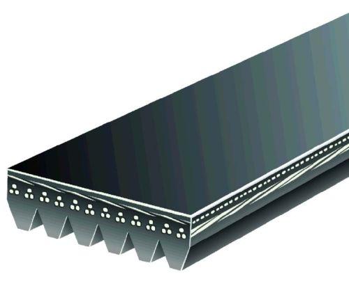 Acdelco professional 6k448 serpentine belt/fan belt-serpentine belt