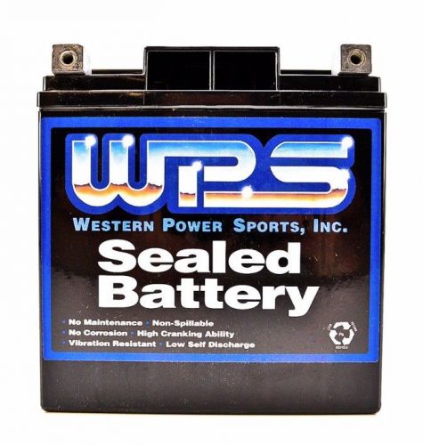 Wps arctic cat thru' 13 150 sealed no hazard maintenance free battery 49-1259