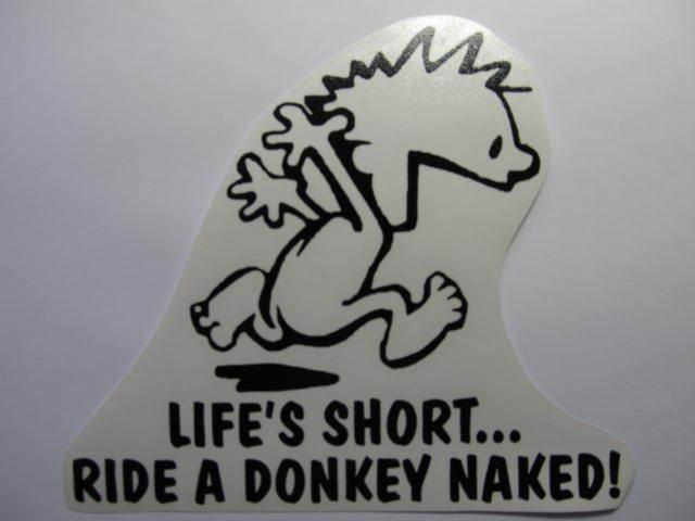 Donkey decal mule horse trailer sticker cowboy cowgirl vinyl 