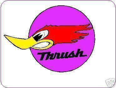Vintage thrush muffler sticker /decal racing nos  rare