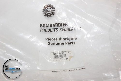 GENUINE OEM Seadoo SPONSON Stabilizer 292000411 RH New, US $167.25, image 13