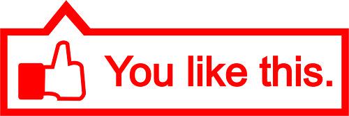 You like this facebook fb vinyl sticker decal euro jdm kdm drift