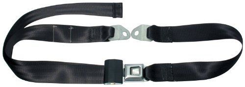 Allstar performance all98110 black two-point non-retractable seat belt