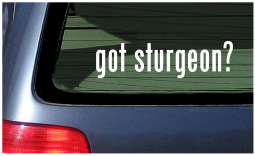 Got sturgeon? fishing enthusiast car vinyl sticker fun river fish