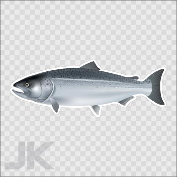 Decals sticker fish fresh water salmon 0500 x62ag