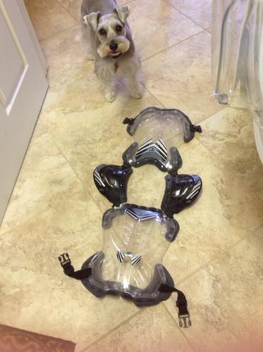 Fox racing kids youth chest protector mx atv medium