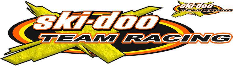 Ski-doo logo decal team, sticker, vinyl decal, graphic