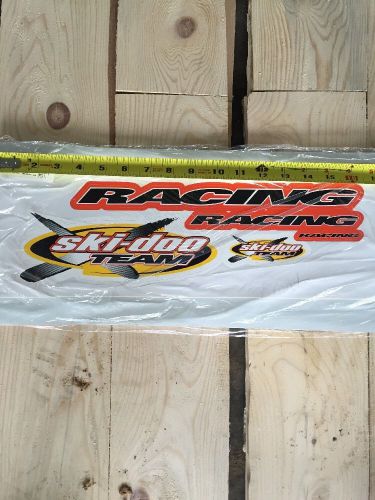 Skidoo racing decal set