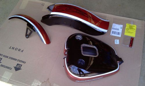 Harley radical paint set for fxsts-i