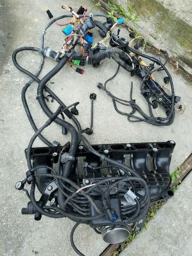 Bmw e60 n54 turbo 535i 535xi fuel injector wiring harness complete 2008-2010 oem