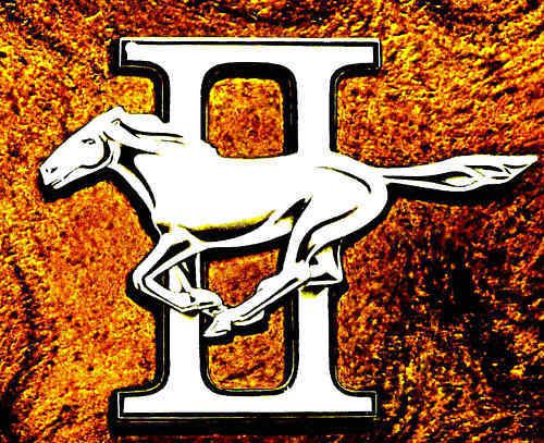 1974 ford mustang ii brochure-hardtop-ghia-2+2-mach 1