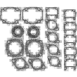 Winderosa complete engine gasket set artic cat 71-79 cheetah panther 399 711033a