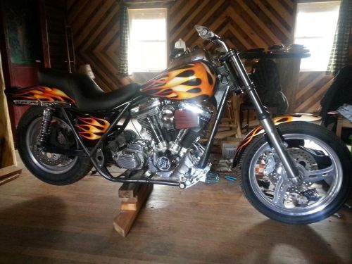 Harley davidson gas tank, fenders and side panels