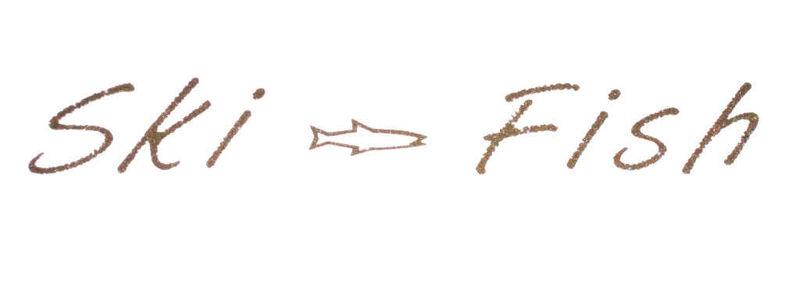 Larson boats ski fish decal logo genuine factory sf new